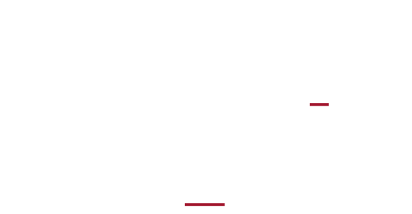 The Auction Company — Independent Specialist Auctioneers
